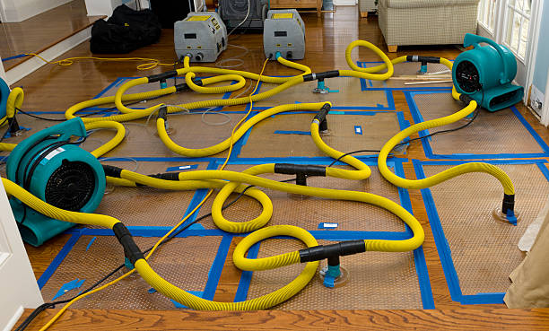 Professional Basement Flood Cleanup technician working in Bath, NH
